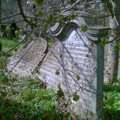 Touristische Attraktivität (Jüdischer Friedhof, Museum) Quelle: Touristisches Informationszentrum Žamberk