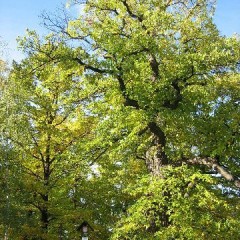 Toeristische attractiviteit (natuurmonument) bron: Informatiecentrum Nasavrky