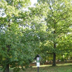 Toeristische attractiviteit (natuurmonument) bron: Informatiecentrum Nasavrky