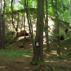 Touristische Attraktivität (Ruine) Quelle: Stadtinformationszentrum