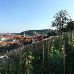 Tourist site (tourist attraction) source: St. Wenceslas vineyard