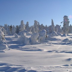 Ski centre source: Králové Hradec region