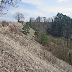 Touristische Attraktivität (Naturreservat) Quelle: Wikimedia Commons