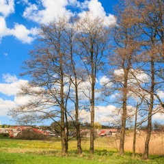 Touristische Attraktivität (Naturdenkmal) Quelle: Wikimedia Commons