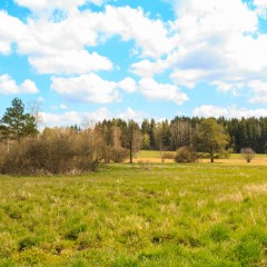 Touristische Attraktivität (Naturdenkmal) Quelle: Wikimedia Commons