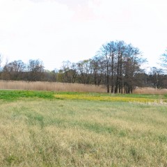 Touristische Attraktivität (Naturdenkmal) Quelle: Wikimedia Commons