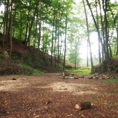 Touristische Attraktivität (Ruine) Quelle: Wikimedia Commons