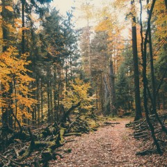 Touristische Attraktivität (Naturreservat) Quelle: Wikimedia Commons