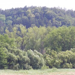 Touristische Attraktivität (Naturdenkmal) Quelle: Touristeninformationszentrum Luže