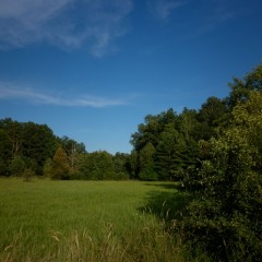 Toeristische attractiviteit (natuurreservaat) bron: Wikimedia Commons