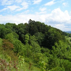 Touristische Attraktivität (Naturreservat) Quelle: Wikimedia Commons