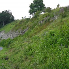 Touristische Attraktivität (Naturreservat) Quelle: Wikimedia Commons