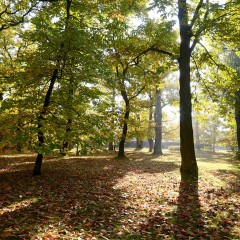 Toeristische attractiviteit (natuurmonument) bron: Wikimedia Commons