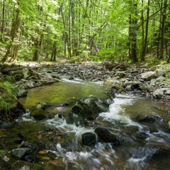 Touristische Attraktivität (Natur-Attraktion) Quelle: Touristisches Informationszentrum Skuteč