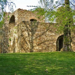 Svojšice - castle ruins, source: Andrea Urbanová