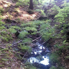 Touristische Attraktivität (Quelle / Brunnen) Quelle: Junge Naturschützer - estudanky.cz