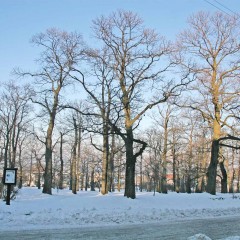 Toeristische attractiviteit (natuurmonument) bron: Wikimedia Commons