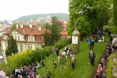 Festival of rosé wines