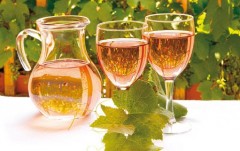 Festival of rosé wines