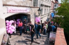 Festival of rosé wines