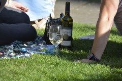 Wine Festival at Prague Castle