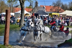 Rudolph's Cup International Sleigh Races