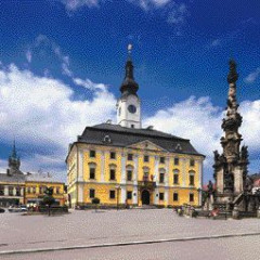 Town hall and city gallery Polička